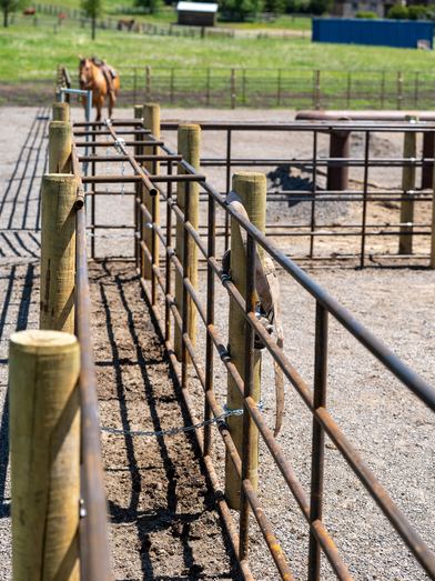 Corral under construction with Ranchcore panel sections and a horse nearby