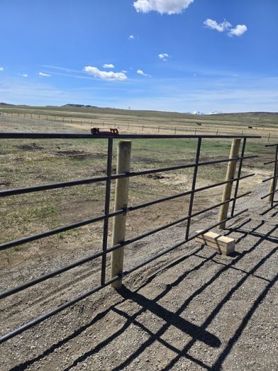 Completed Ranchcore panel fence run with cattle grazing in the distant pasture