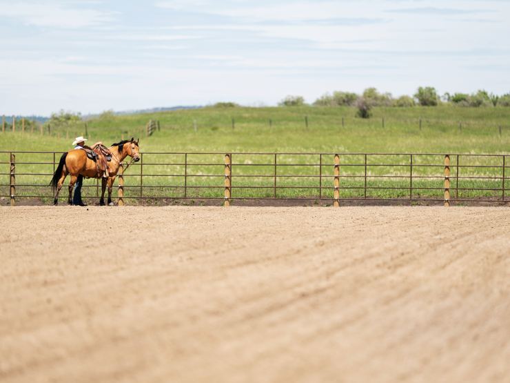 Saddled horse standing at a Ranchcore panel fence in green pasture