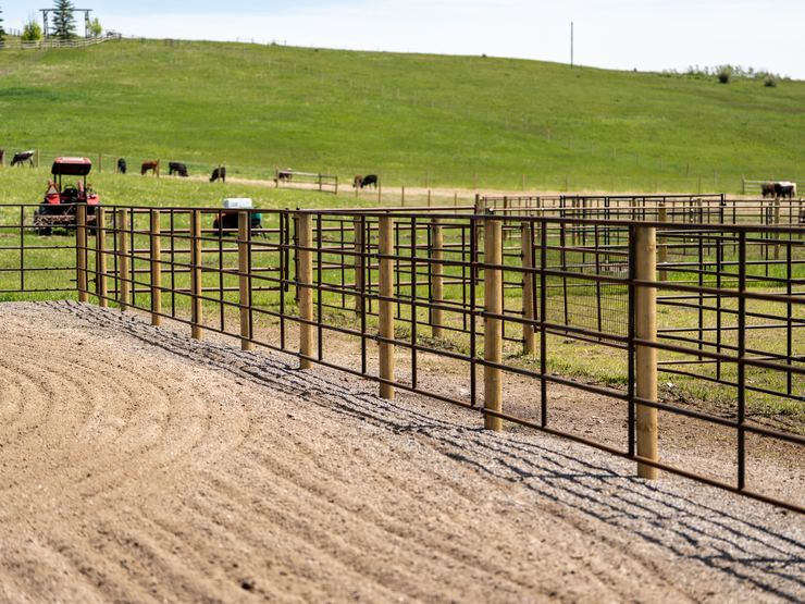 Large Ranchcore panel pen system with equipment and cattle on a working ranch